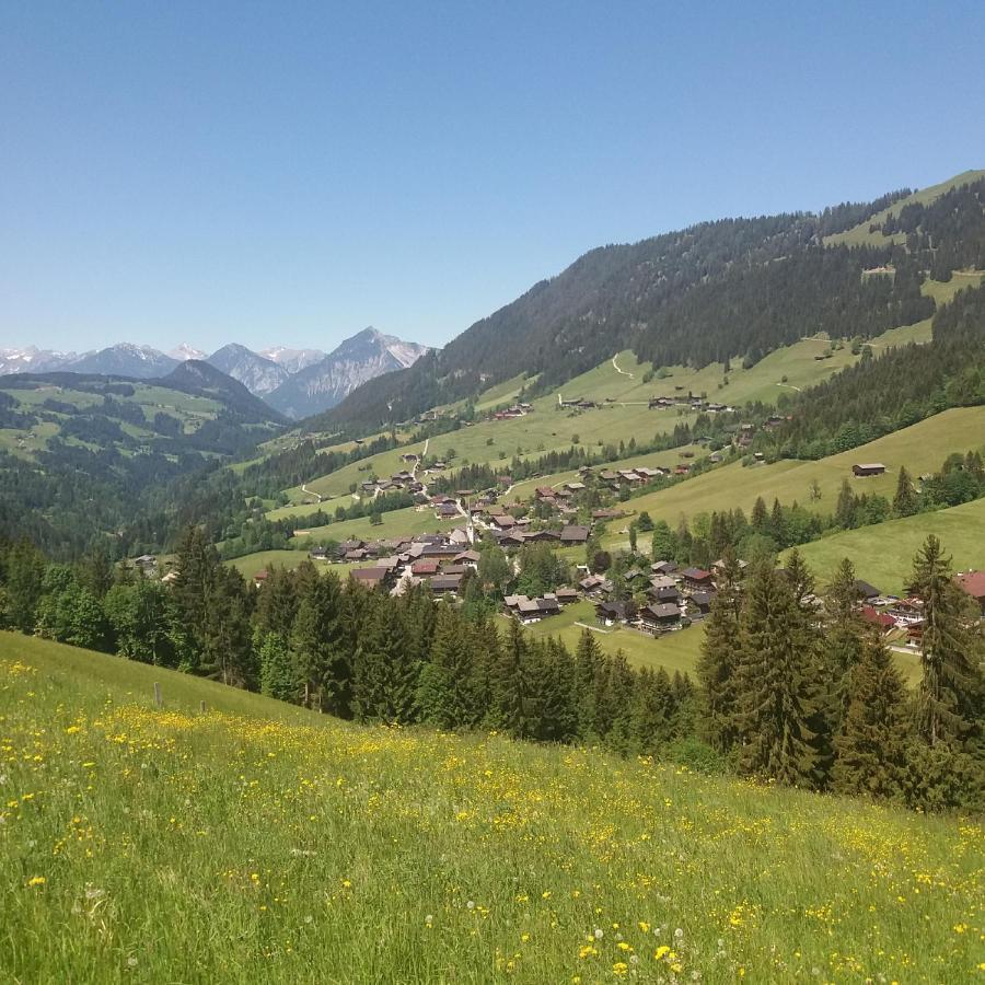 Haus Raimund " Klein Aber Fein " Appartement Alpbach Buitenkant foto