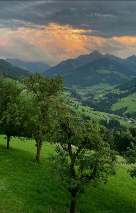 Haus Raimund " Klein Aber Fein " Appartement Alpbach Buitenkant foto
