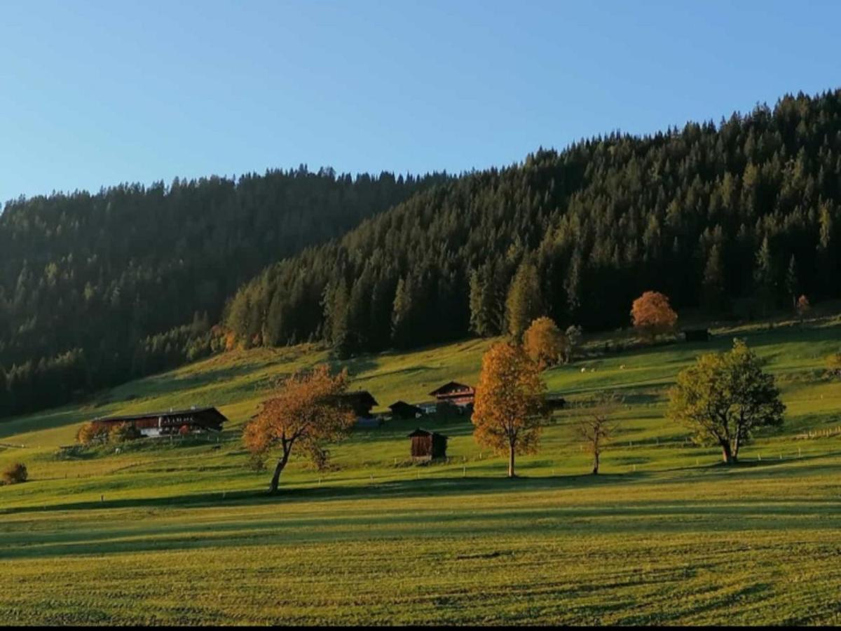 Haus Raimund " Klein Aber Fein " Appartement Alpbach Buitenkant foto