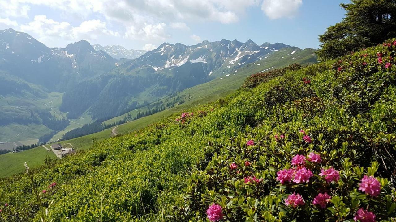Haus Raimund " Klein Aber Fein " Appartement Alpbach Buitenkant foto