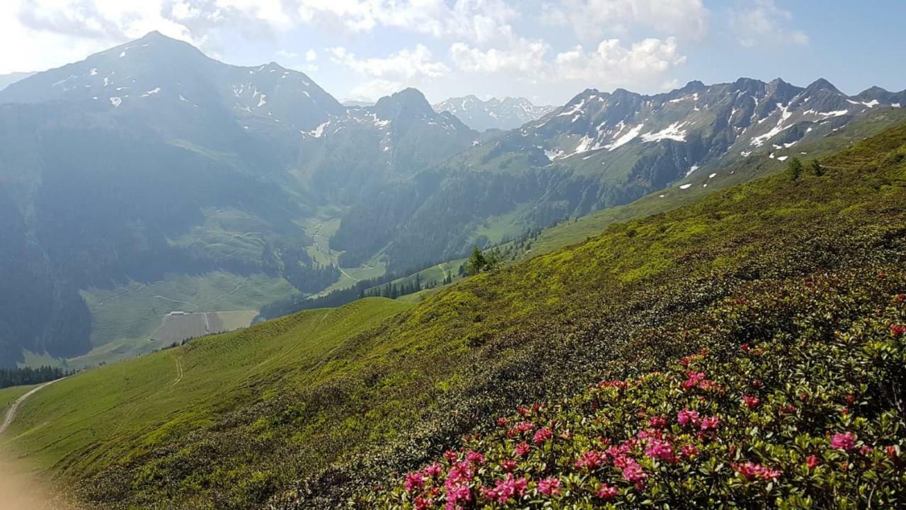 Haus Raimund " Klein Aber Fein " Appartement Alpbach Buitenkant foto